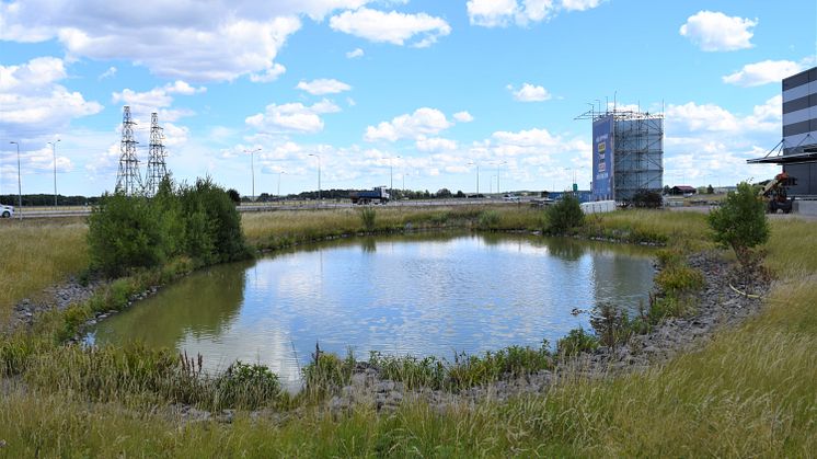 Dagvattendamm, Uppsala. Foto: Paul Coiffard