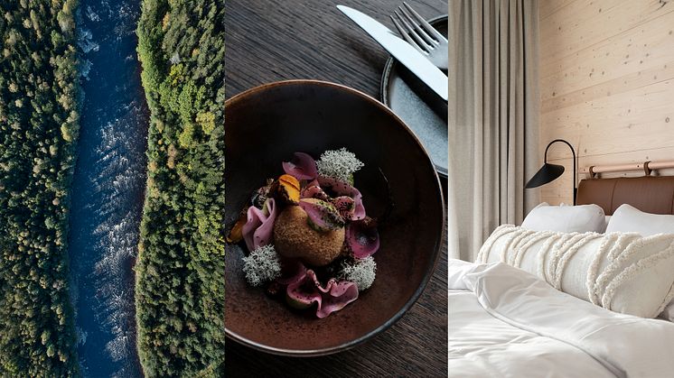 THE WOOD HOTEL BY ELITE NOMINERAS TILL DET PRESTIGEFULLA STORA TURISMPRISET 2022