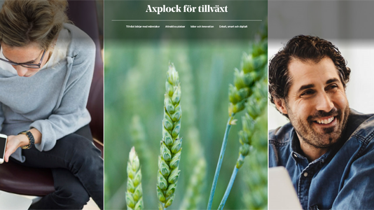 Axplock för tillväxt - vår nya digitala årsberättelse