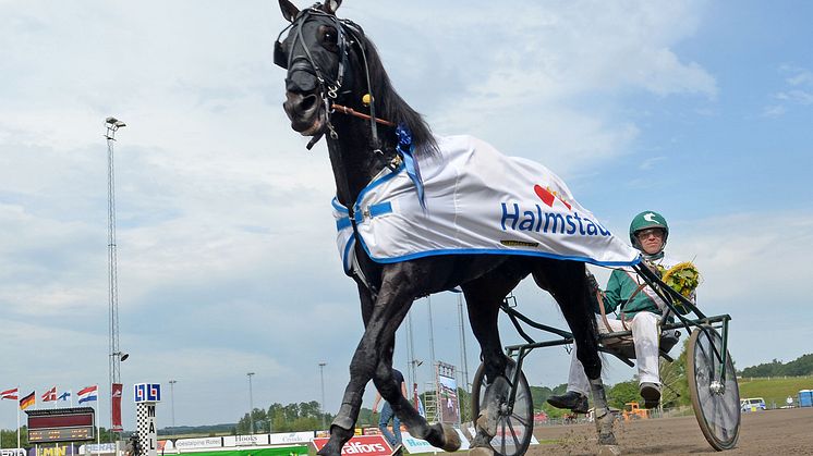 V75: Sommartravet med topplopp i Årjäng