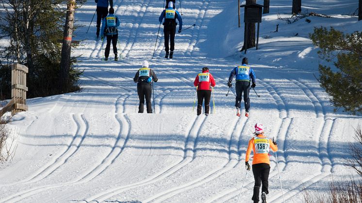 Vasaloppet flera spår