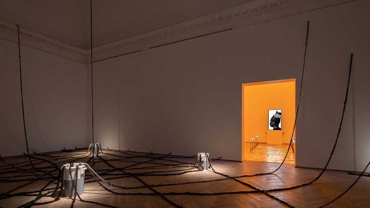 Jeannette Ehlers, We’re Magic. We’re Real #3 (Channeling Re-existence into Hollowed Grounds of Healing), 2022. Coil: The Sensuous Way of Knowing, 2022