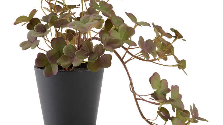 Kunstplant BERGUR H21cm met pot.png
