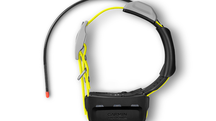Garmin K5 Hundehalsband