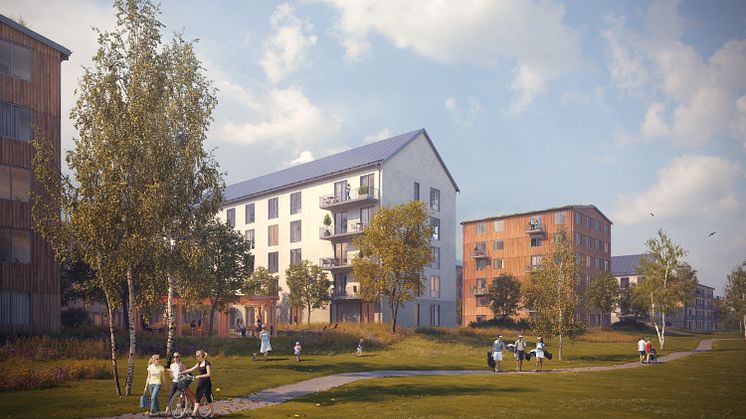 Bäverbäcken_grönyta