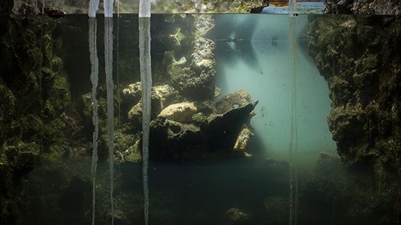 Saara Ekström, Fantasma (stillbild ur videon), 2016. © Saara Ekström