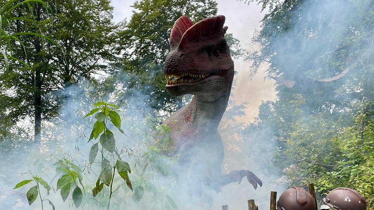 Två gigantiska dinosaurier har bosatt sig Skånes Djurpark när parken nu äntligen öppnar för Halloween och en sprakande höstfest.
