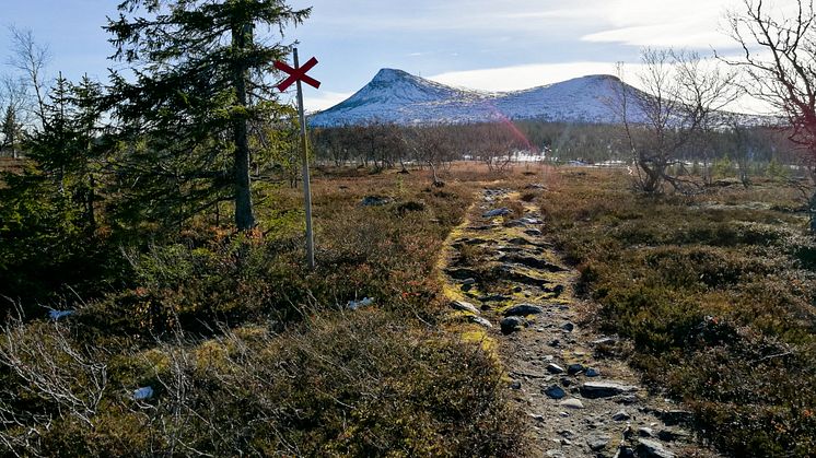 Snötäckt Hovärken i oktober