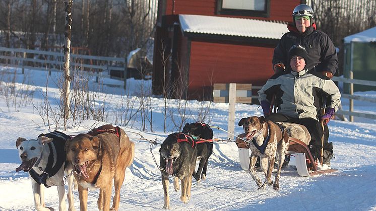Handikapporg Kiruna Verksamhet 