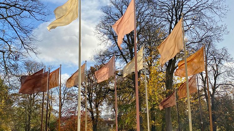 Hesselholdt_Mejlvang_Circle of Flags_2016. Horsens Kunstmuseum. foto the artists.