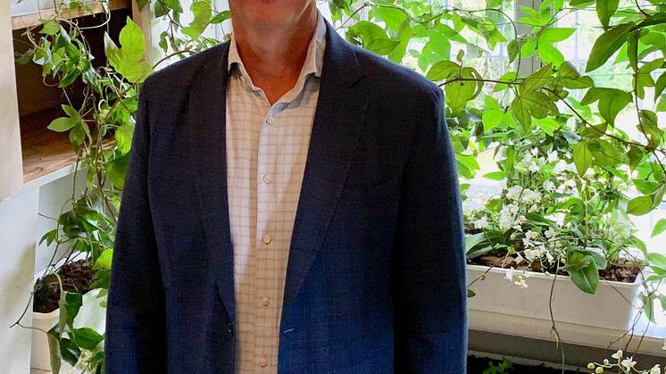 Skogens år på Norrviken