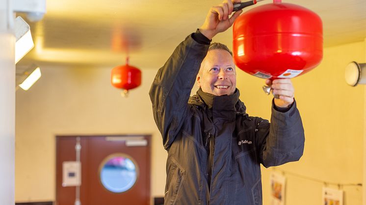 Punktsprinkler-SafeTeam-4