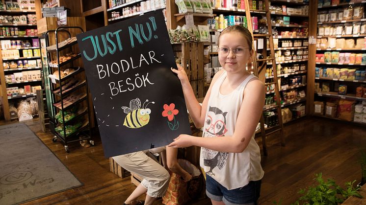 Butiken Cajsa Warg på Södermalm i Stockholm hyllar bina under Pollineringsveckan. Foto: Sofia Runarsdotter.