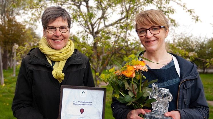 SLU Artdatabankens naturvårdspris 2020 tilldelas Helena Allard för hennes arbete att öka den biologiska mångfalden genom Svenskt Sigill.