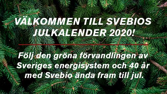 Vi firar Svebio 40 år med en julkalender!