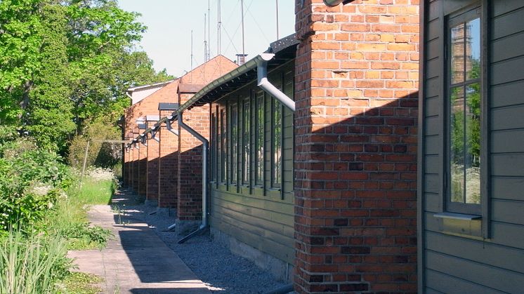 Basareholmen, foto Anders Bodin SFV.jpg