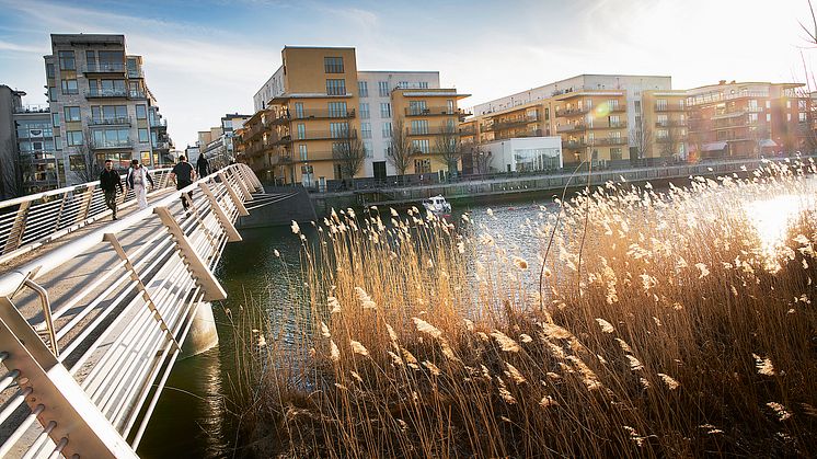 Hammarby sjöstad