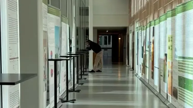More than two dozen scientific research posters on coeliac disease displayed at the 38th AOECS Annual Conference