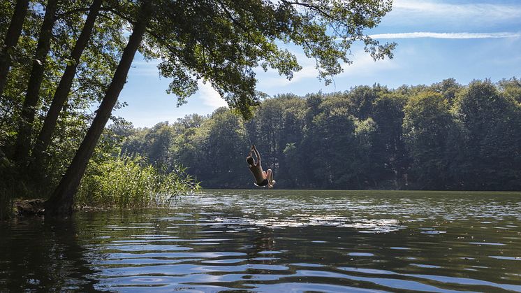 Ab in´s kühle Nass am Huwenowsee im Ruppiner Seenland. Foto: TMB-Fotoarchiv/Steffen Lehmann.