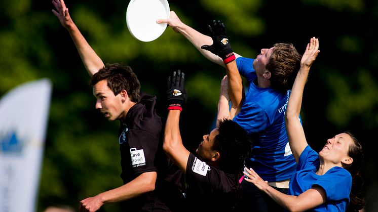 Ultimate frisbee under dag sju av SM-veckan den 7 juli 2013 i Halmstad. Fotograf: Petter Arvidsson, Bildbyrån