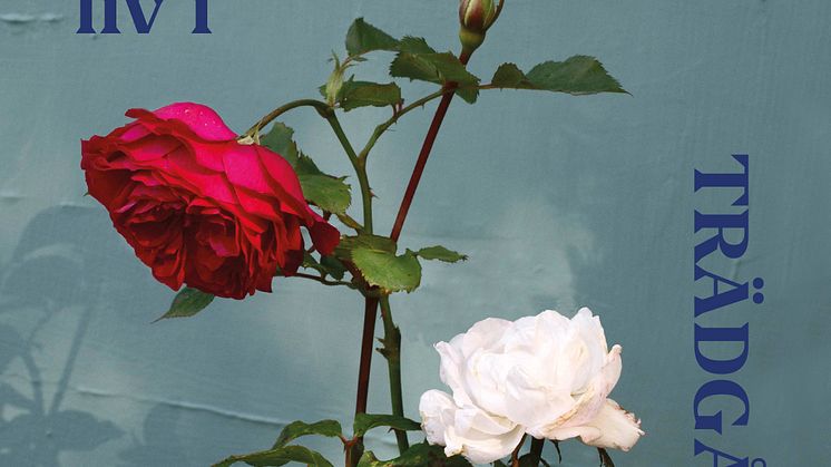 EttÅrAvLiv_cover