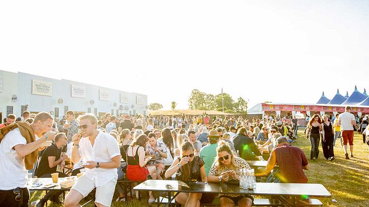 Svenskt kött på festivalen Lollapalooza 