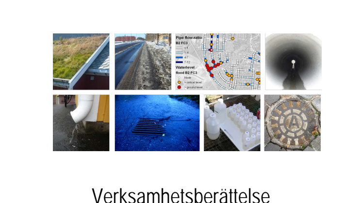 C SVU-rapport C VB2011_DagoNatLTU: Dag&Nät Verksamhetsberättelse 2011