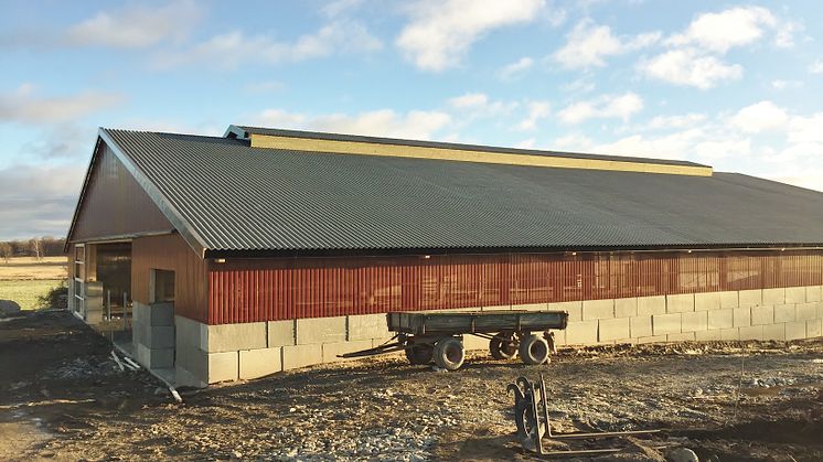 Kostall för lösdrift, Bona Egendom
