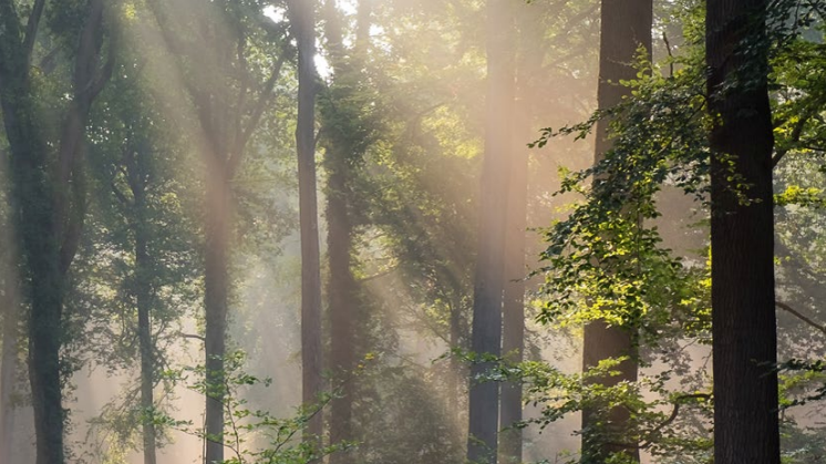 2017 Camfil Sustainability Report