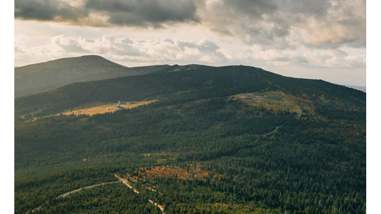 SEB Nordic Outlook August 2023.pdf