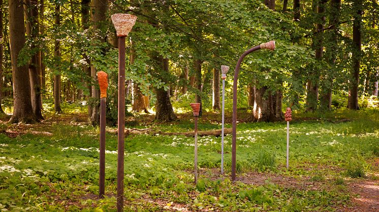 Dolmen_Pettersen