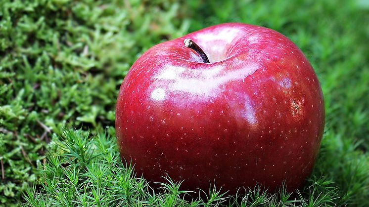 Ny Forskning: Rollen av Vitamin A i Psykiatriska Störningar Pixabay CC0