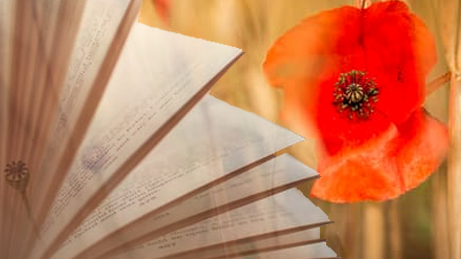 The Western Front, Remembered In Poetry