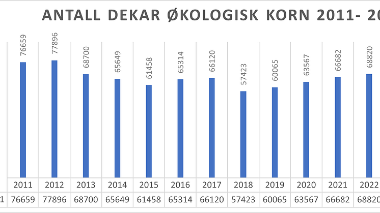 Antall daa økologisk korn