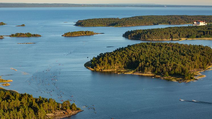 Cirka 100 kajaker påväg ut för att se solnegången på fredagen