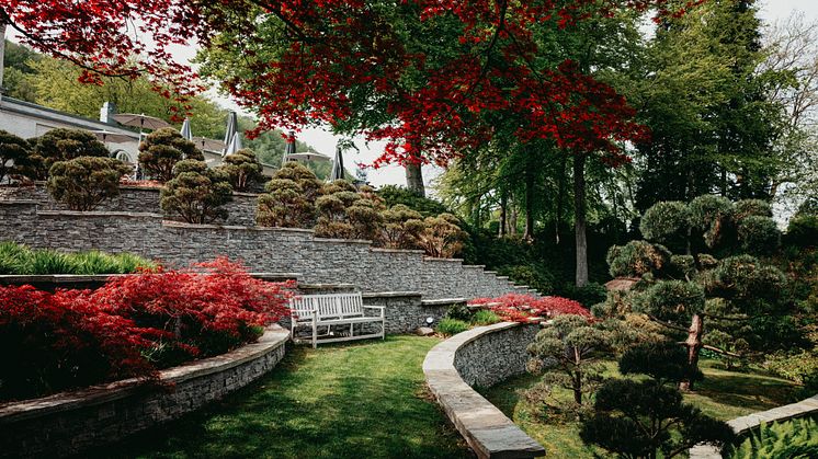 japanska_trädgården_maj_2024_6.jpg