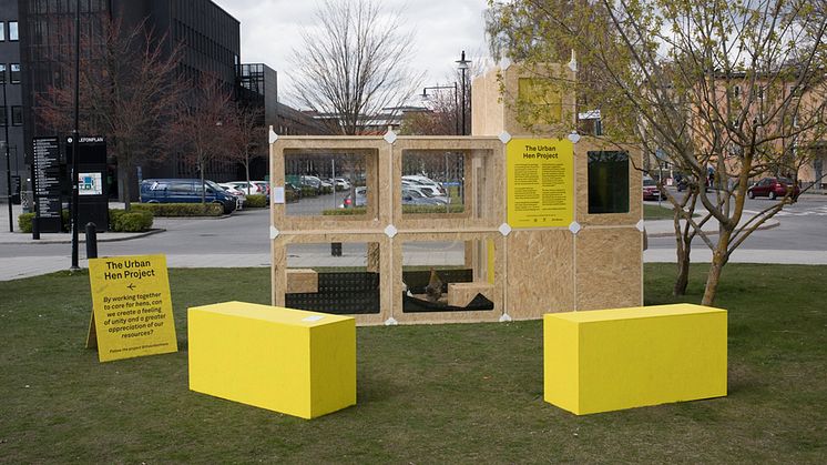 The Urban Hen Project av Kajsa Lindström, Individual Study Plan in Design MFA 2017