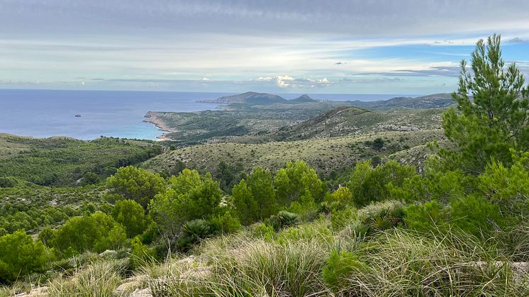 TUI Forest Mallorca_landscape3