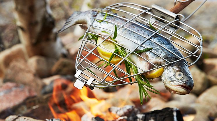 Grillhalster till pinnen, fisk