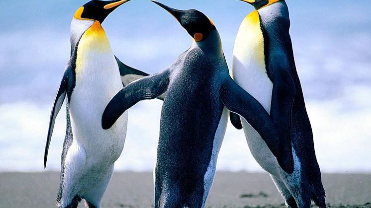 5 tips to get started with your influencers