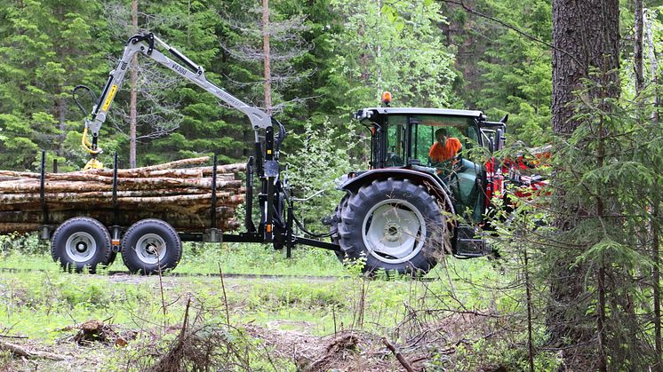 Multiforest New Edition 055
