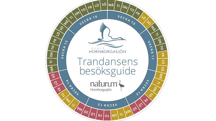 Besöksguide Trandansen