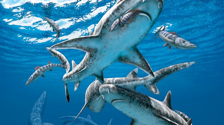 Late Maastrichtian marine assemblage. Image courtesy of Julius Csotonyi.