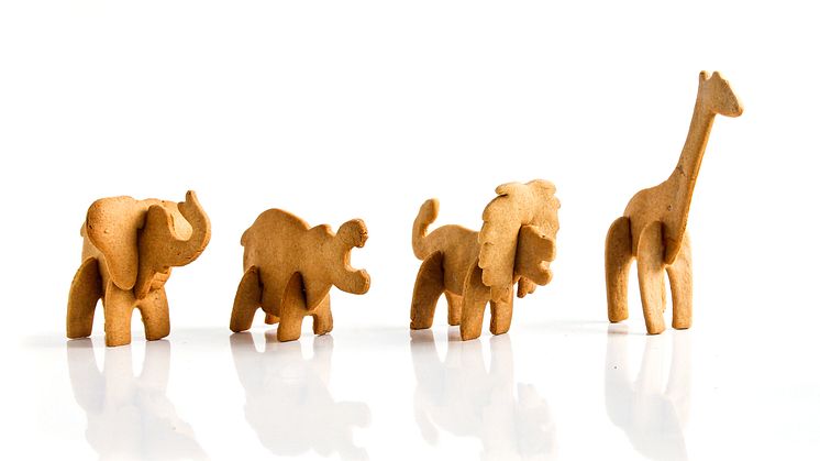 3D pepparkakor alla djur byggda