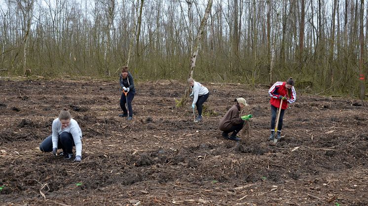 Waldmeisterschaft 2024 - Pflanztermin am Kulkwitzer See 