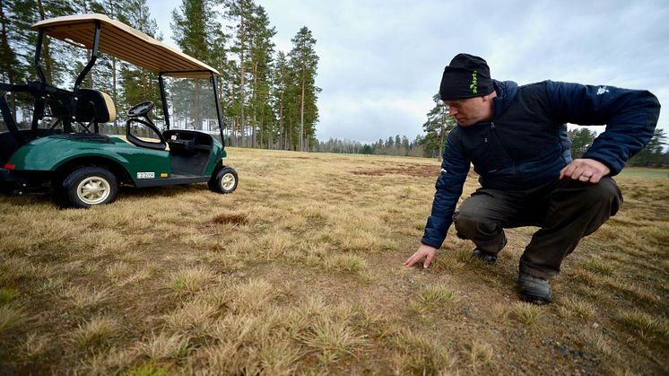 Patrik Tagesson, Nybro golfklubb
