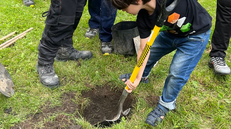 Treplanting Lif Laga