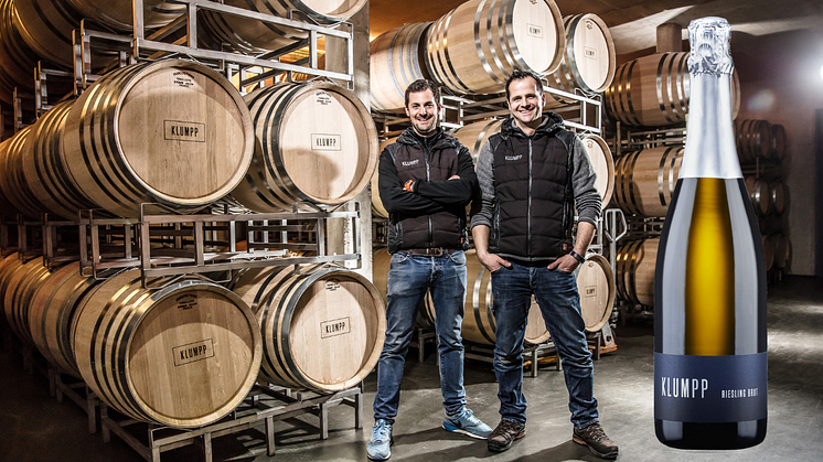 Andreas och Markus Klumpp i vineriet på Weingut Klumpp