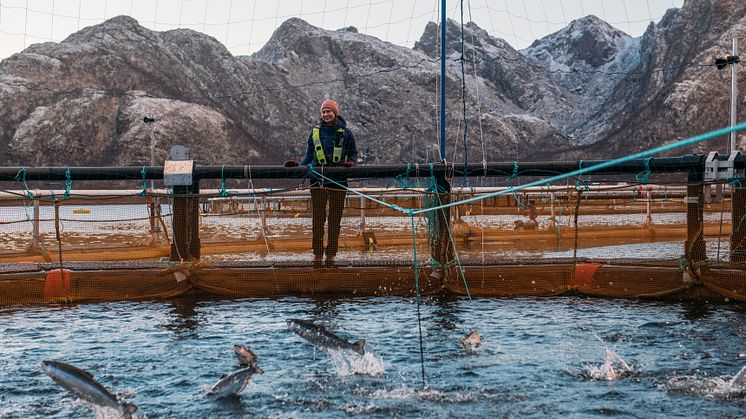 Zooca® (Calanus AS) og Skretting går sammen om å utvikle en banebrytende fôr-løsning i startfôr-segmentet