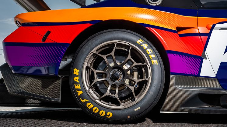 Ford Mustang GT3  2023 (22)